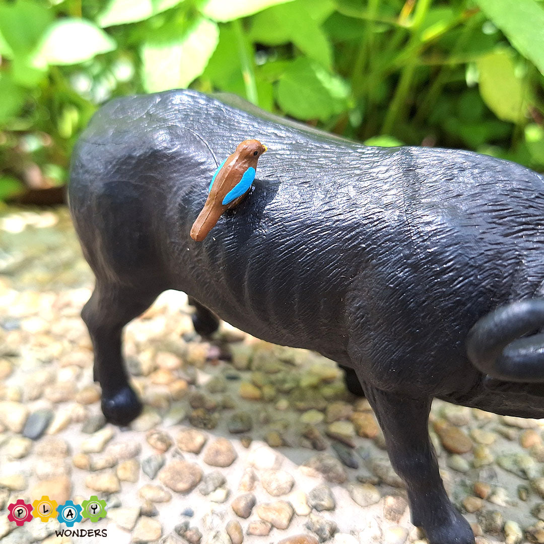 Discovery Animals - Baffalo with Bird