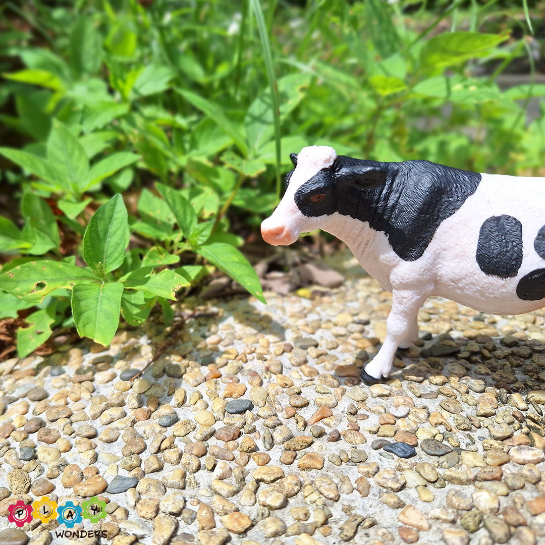 Discovery Animals - Cow