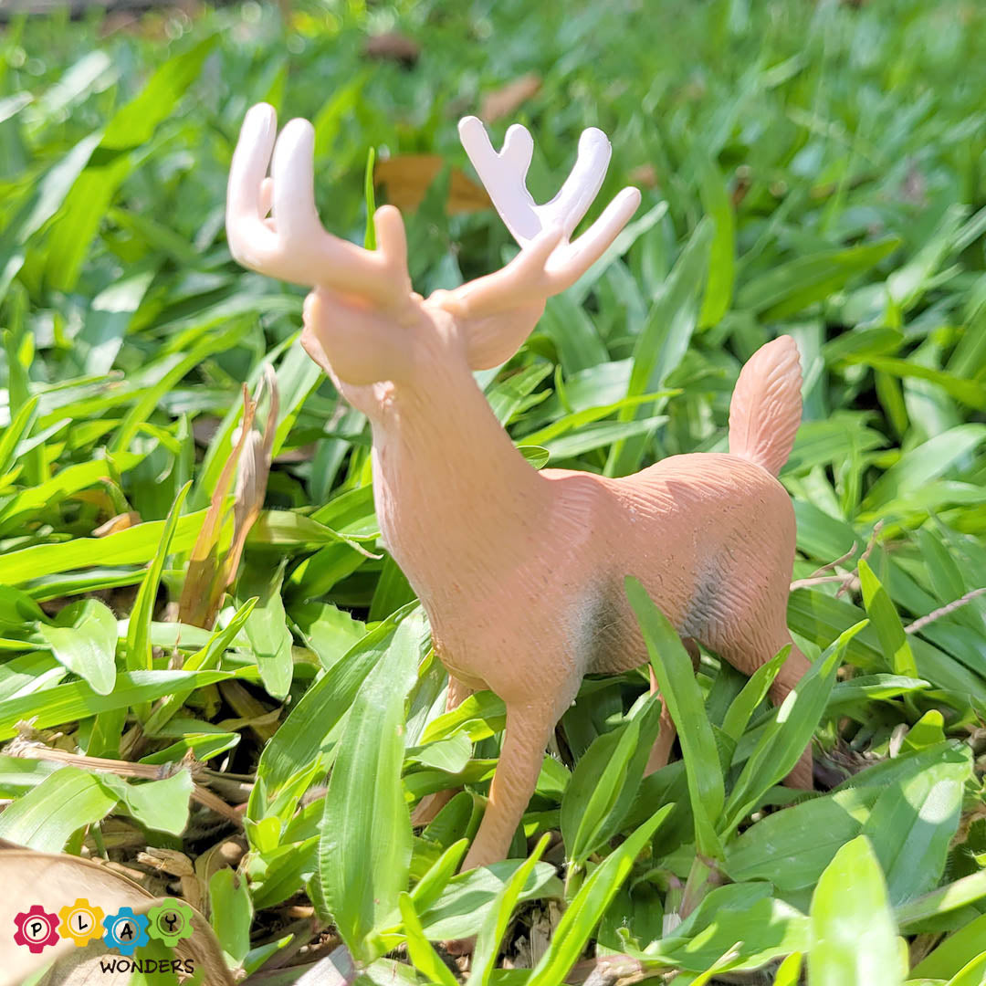Discovery Animals - Deer