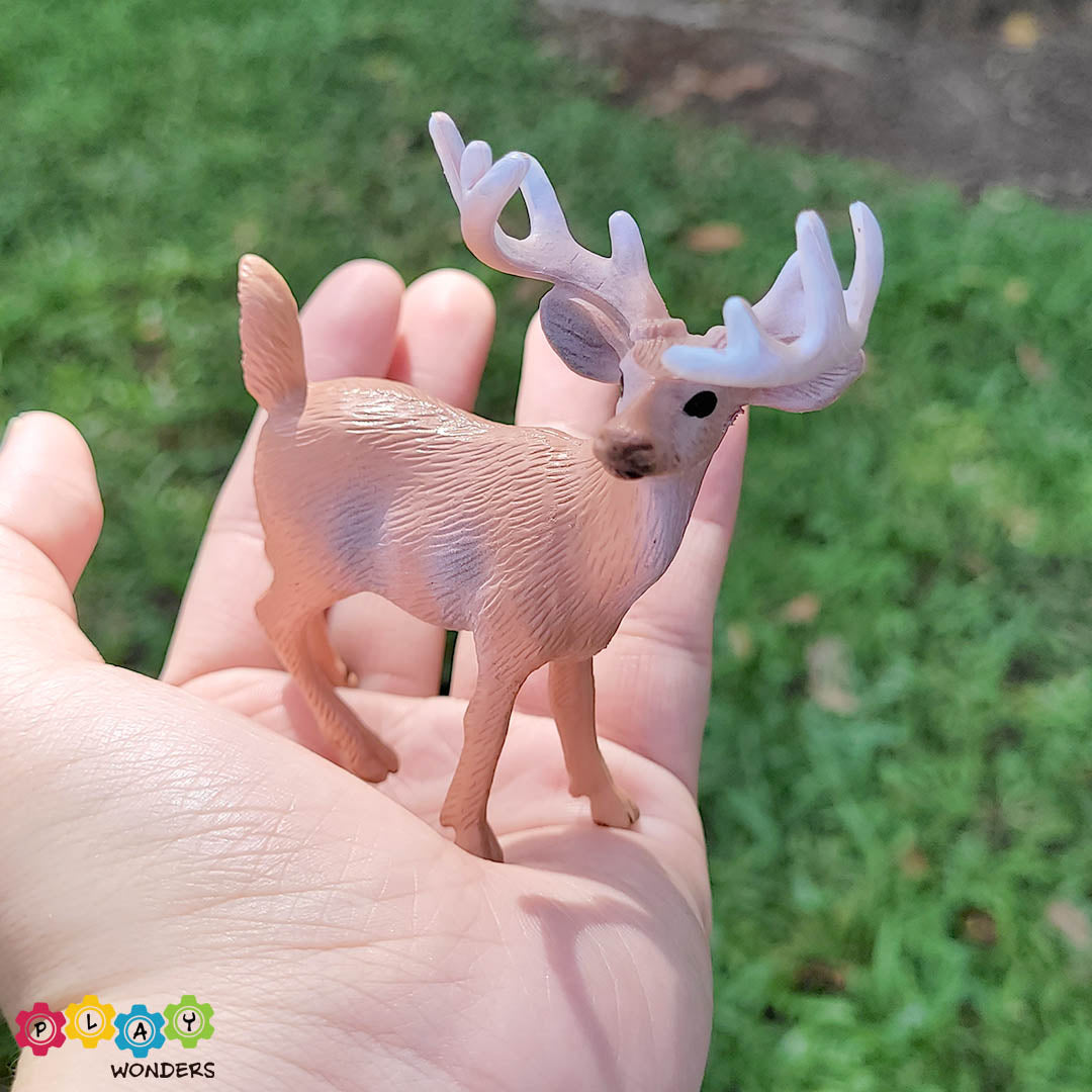 Discovery Animals - Deer