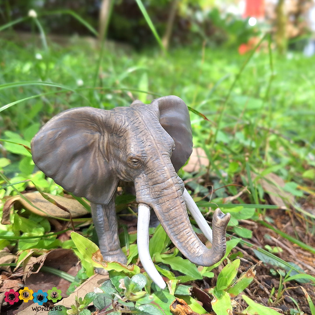 Discovery Animals - African Elephant