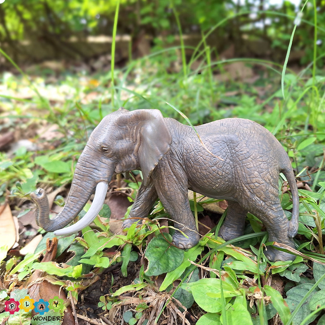Discovery Animals - African Elephant