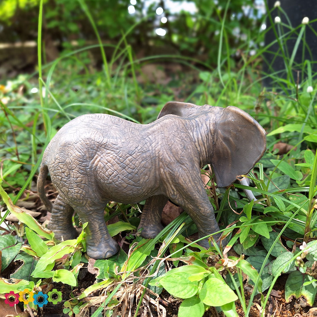 Discovery Animals - African Elephant