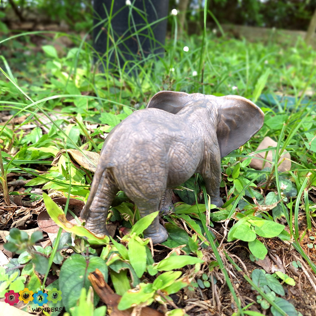 Discovery Animals - African Elephant