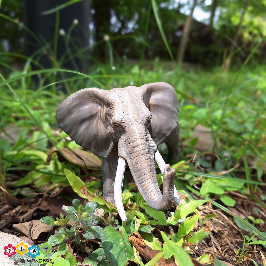 Discovery Animals - African Elephant