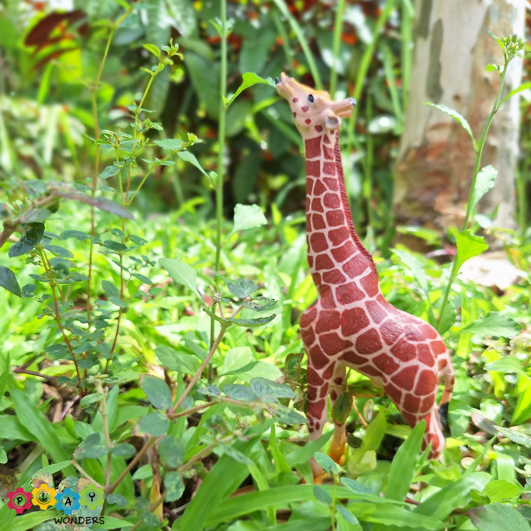 Discovery Animals - Giraffe Male