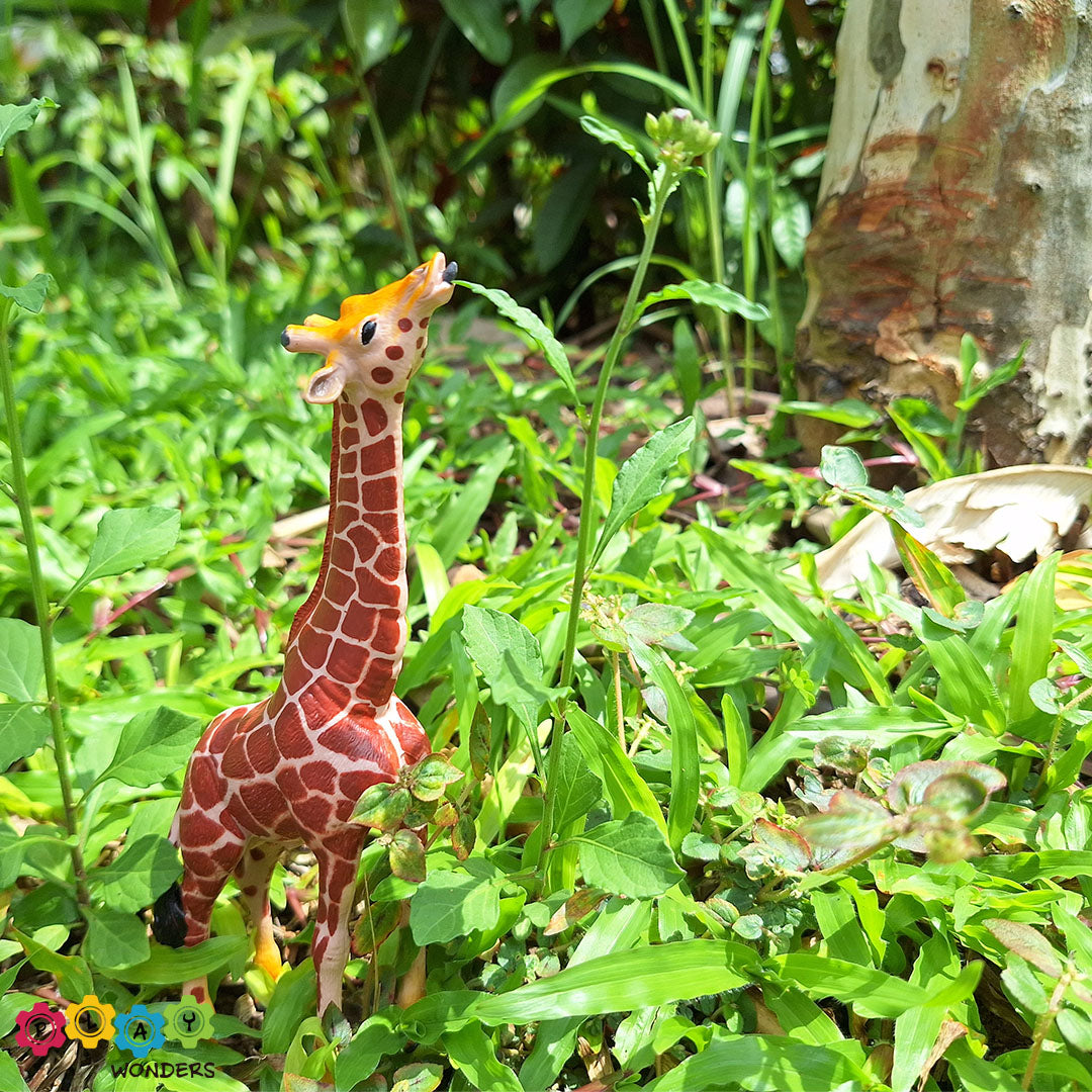 Discovery Animals - Giraffe Male