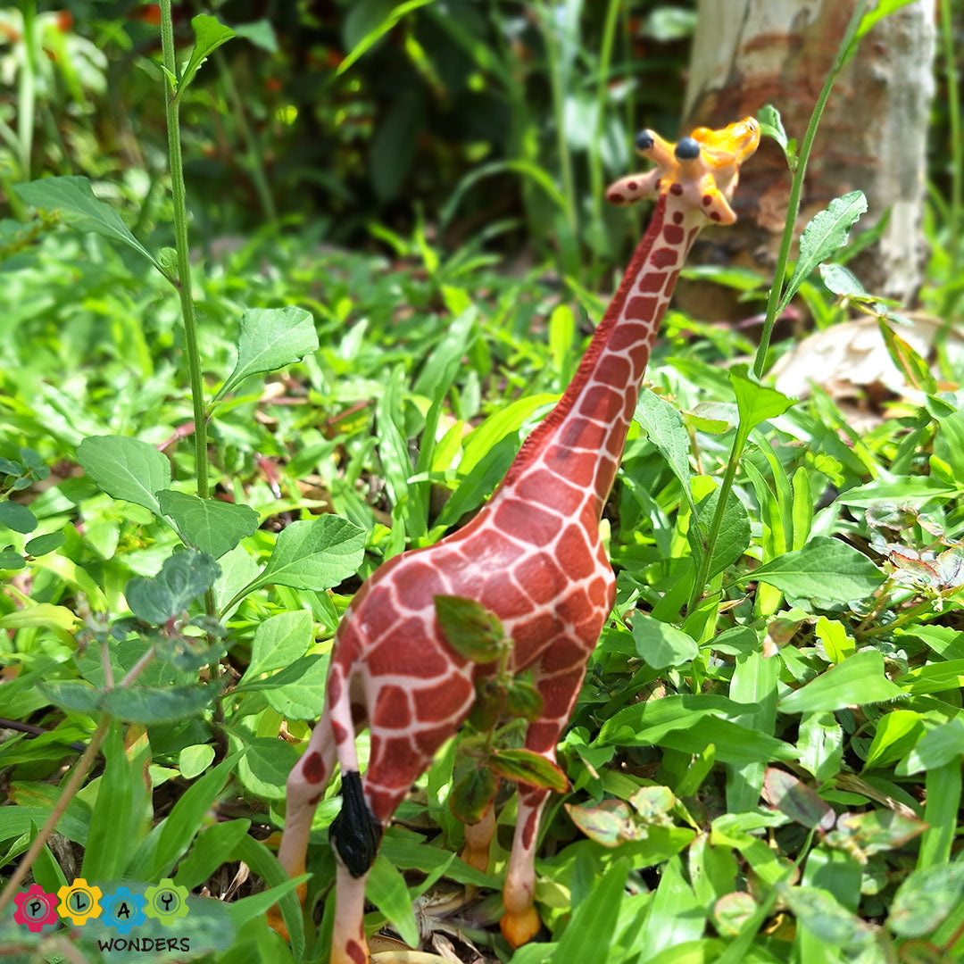 Discovery Animals - Giraffe Male