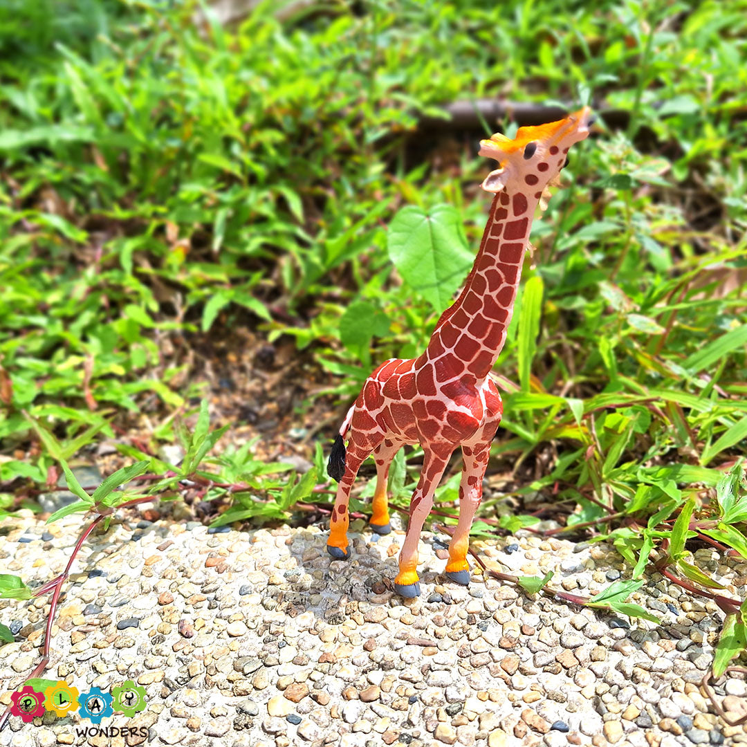 Discovery Animals - Giraffe Male