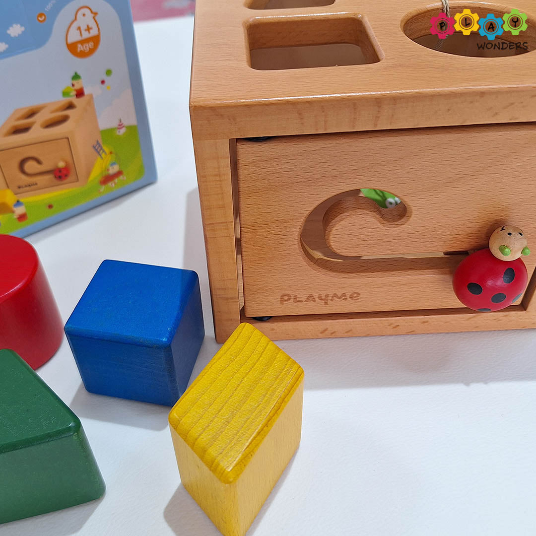 PlayMe - Ladybug Box