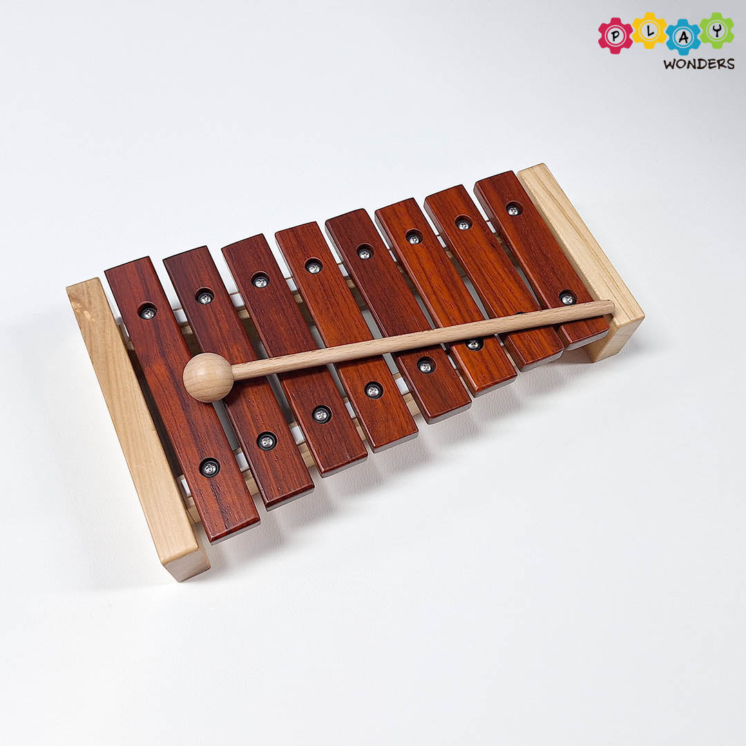 PlayMe - Mini Xylophone (8 Keys)