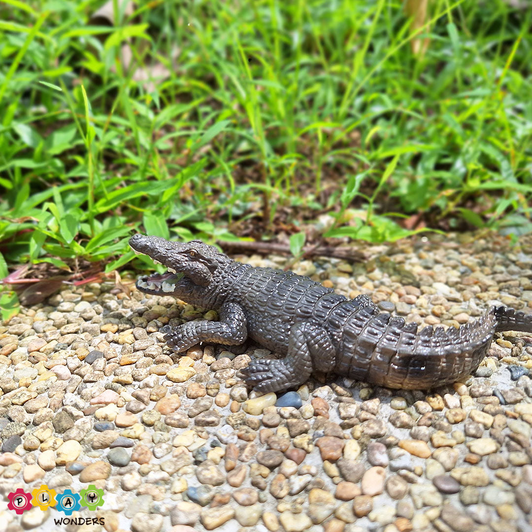 Discovery Animals - Crocodile (Fixed Mouth)
