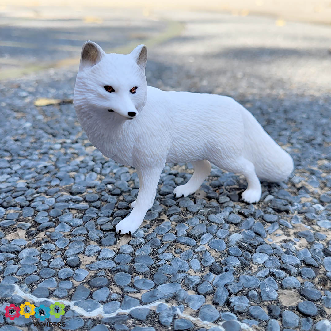 Discovery Animals - Arctic Fox