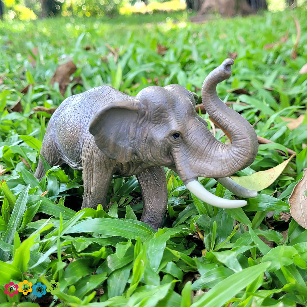 Discovery Animals - Asian Elephant