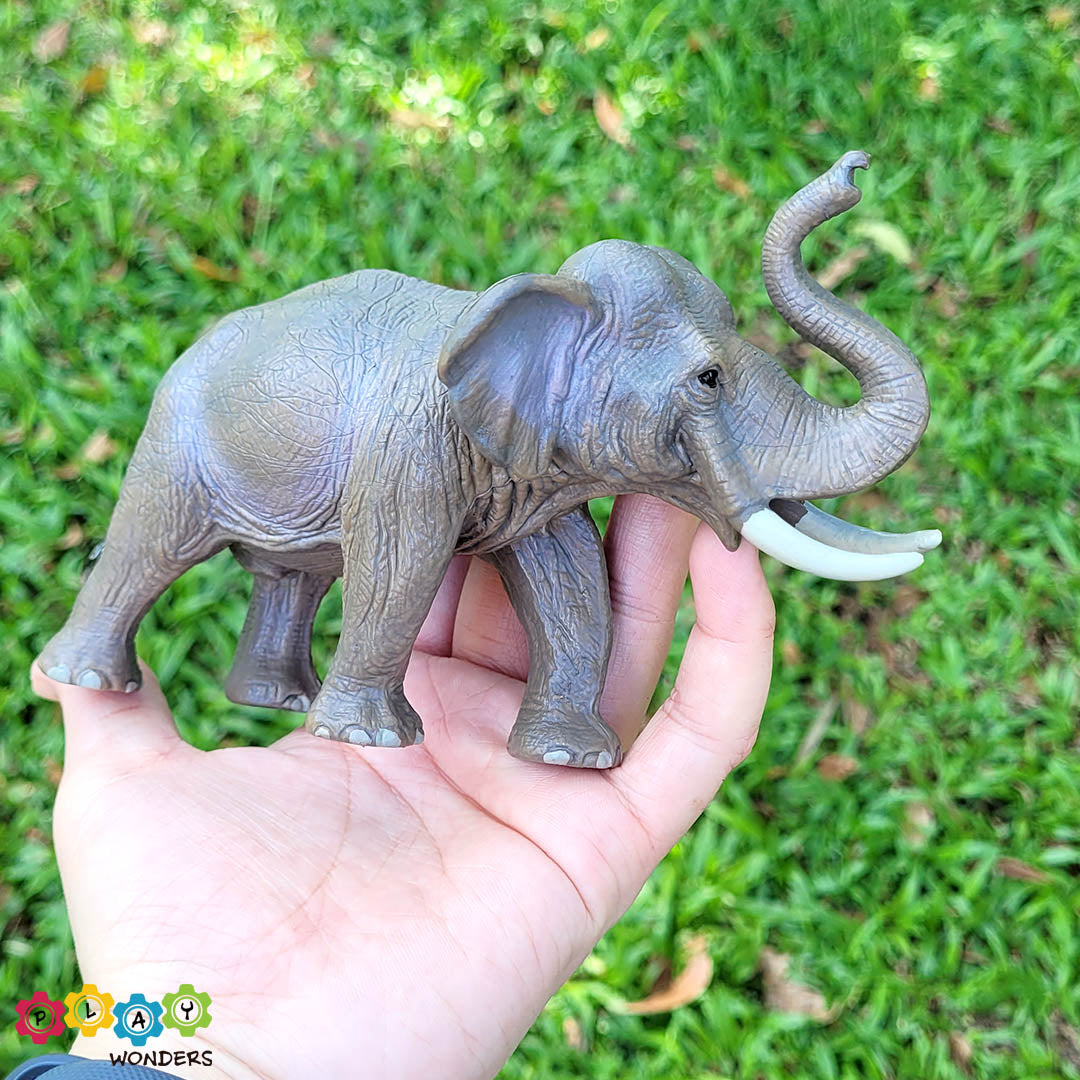 Discovery Animals - Asian Elephant