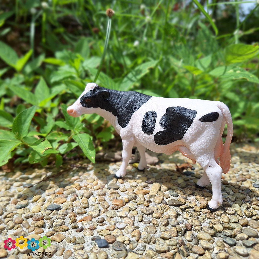 Discovery Animals - Cow