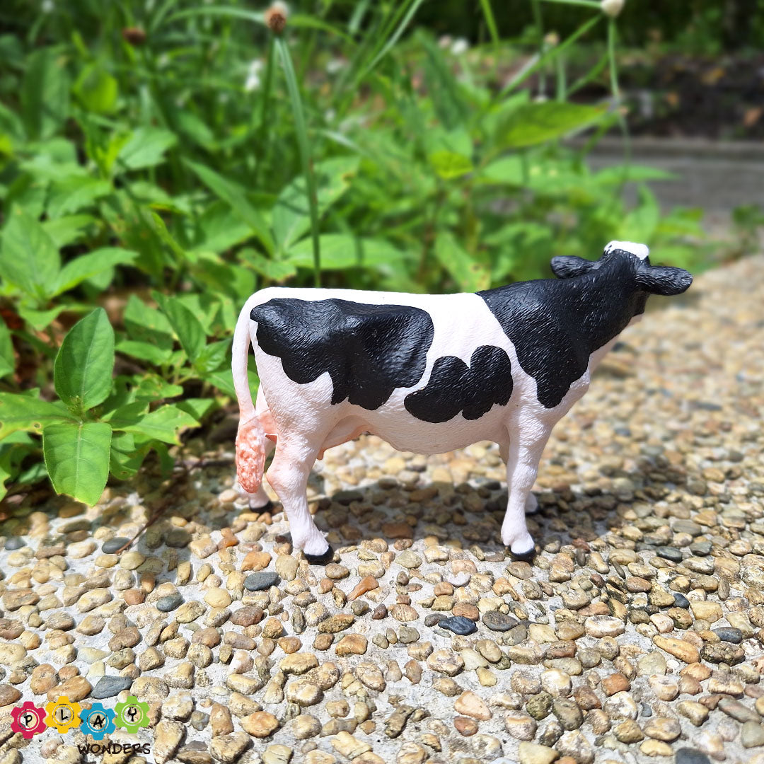 Discovery Animals - Cow