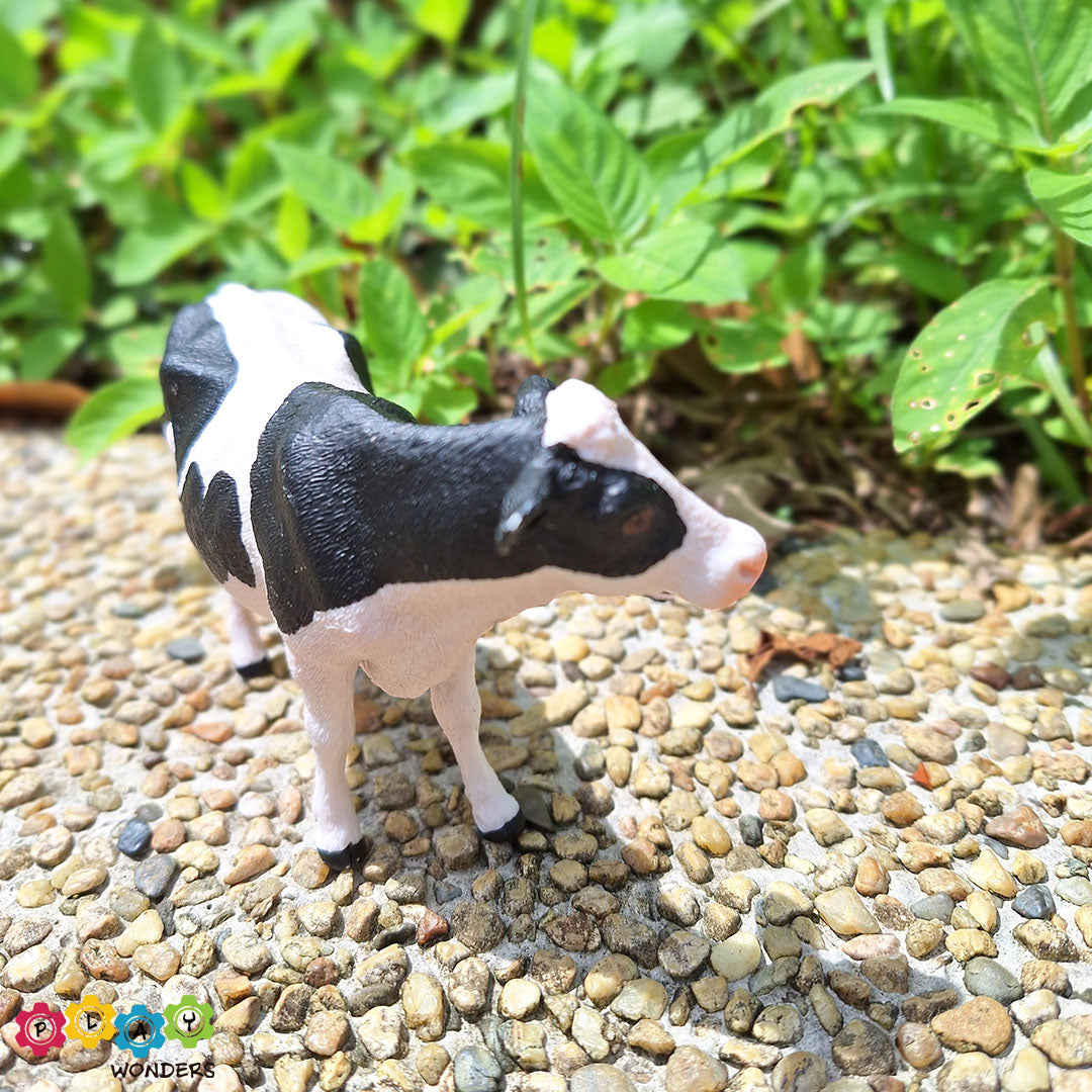 Discovery Animals - Cow