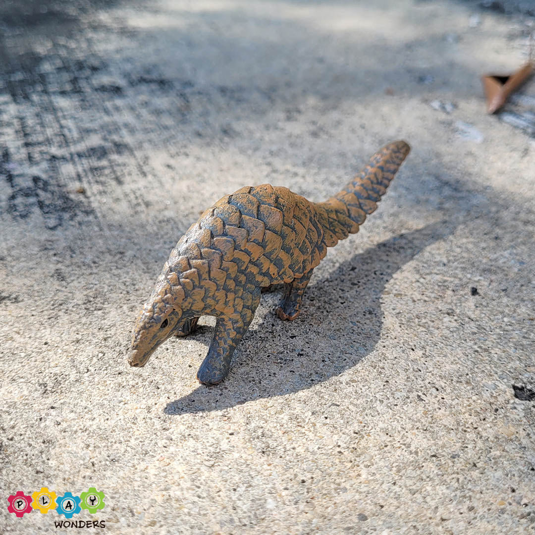 Discovery Animals - Pangolin