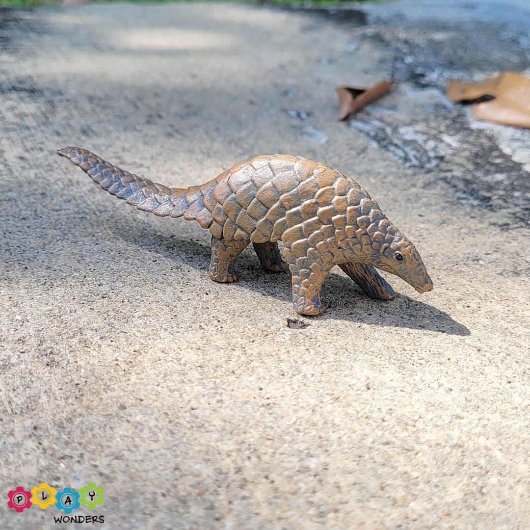 Discovery Animals - Pangolin