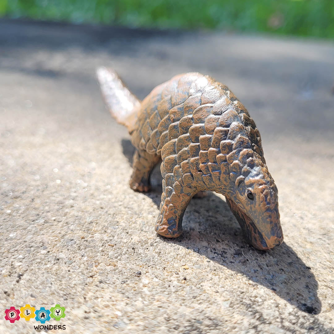 Discovery Animals - Pangolin