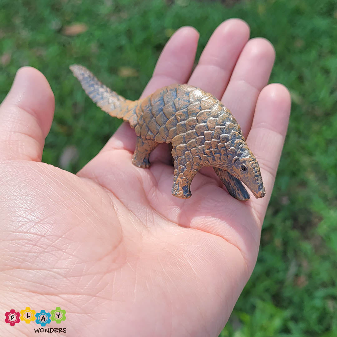 Discovery Animals - Pangolin