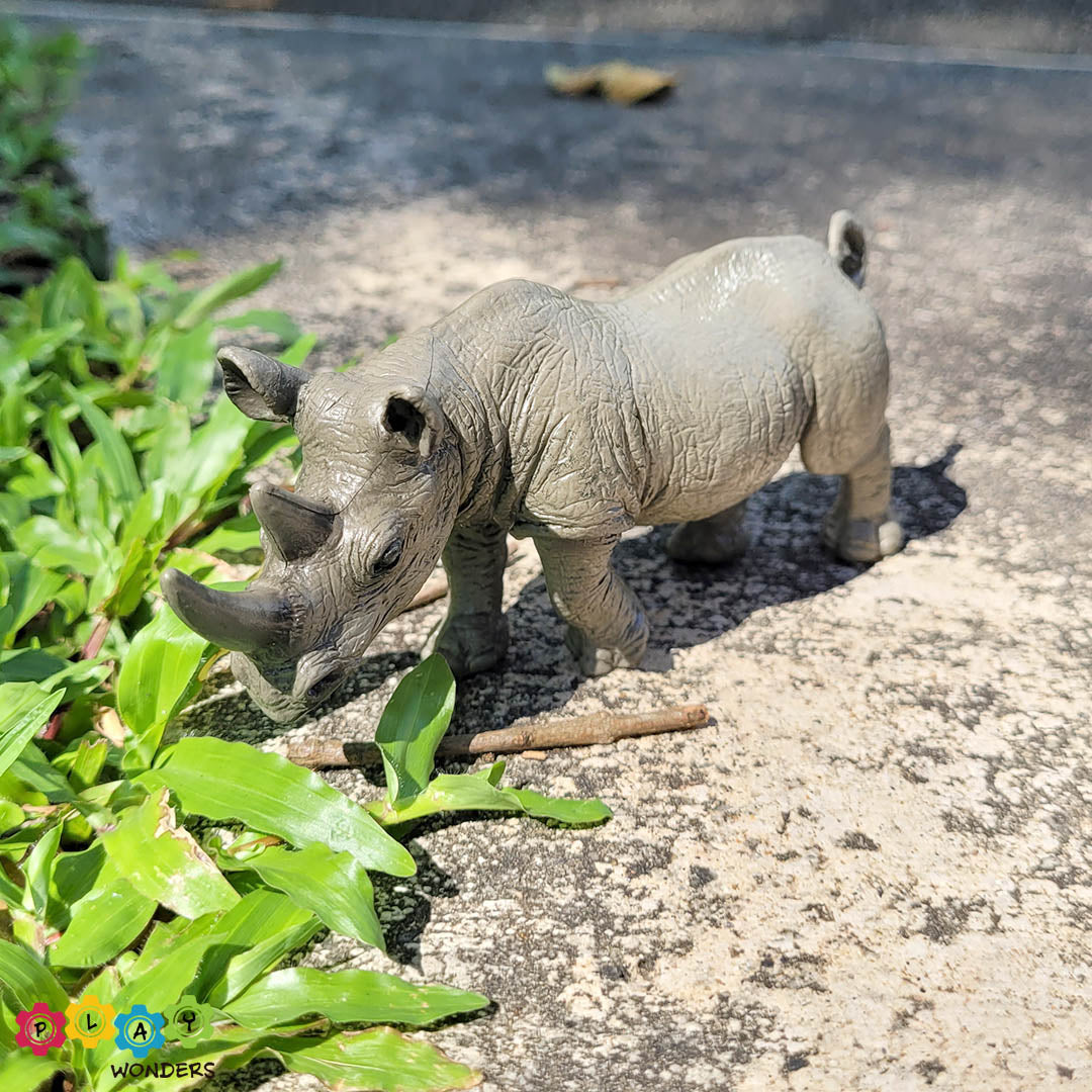 Discovery Animals - Rhinoceros