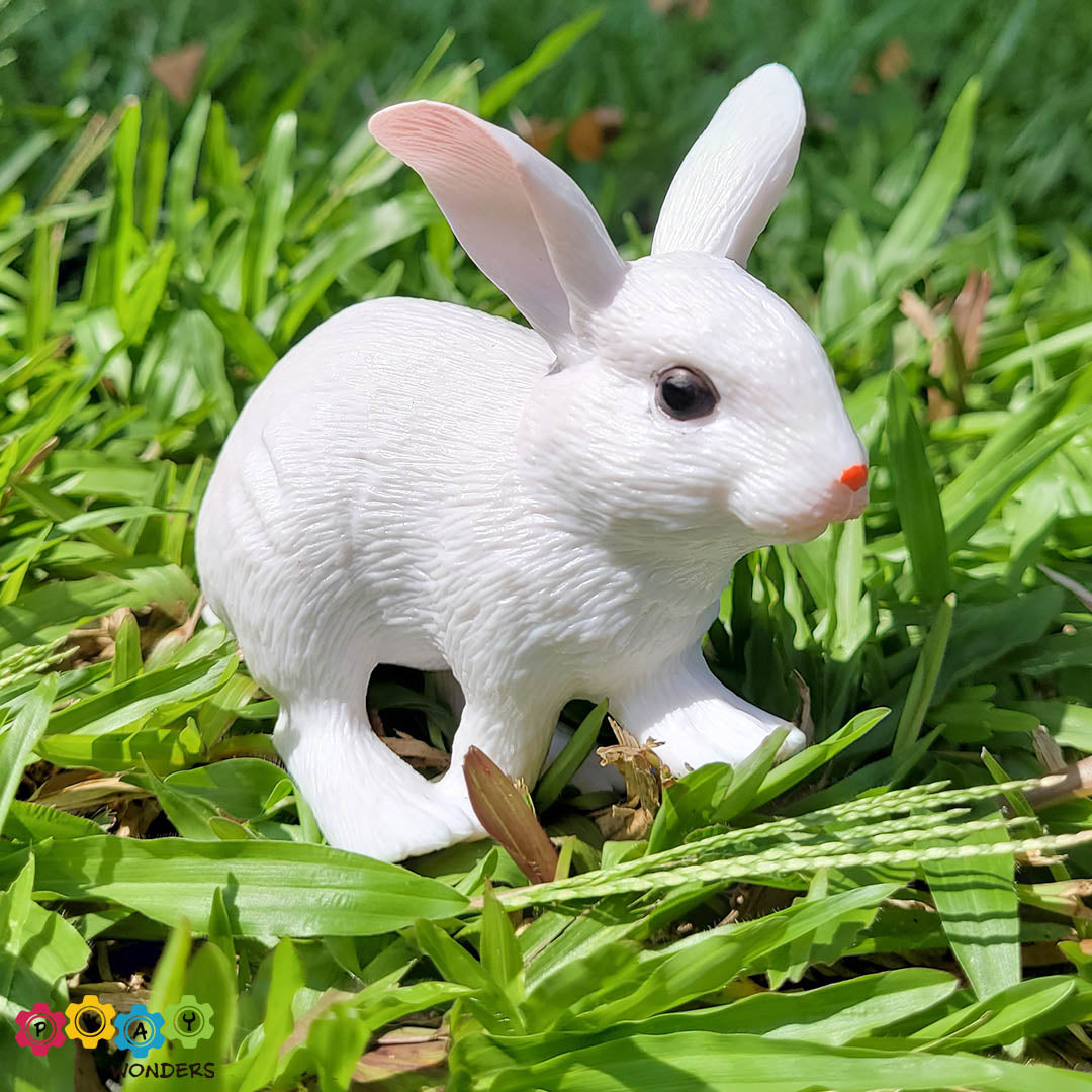 Discovery Animals - Rabbit