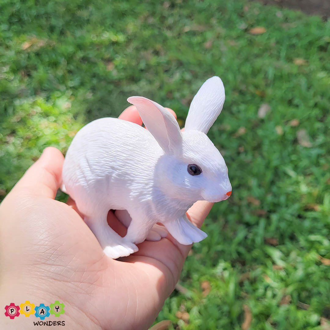 Discovery Animals - Rabbit