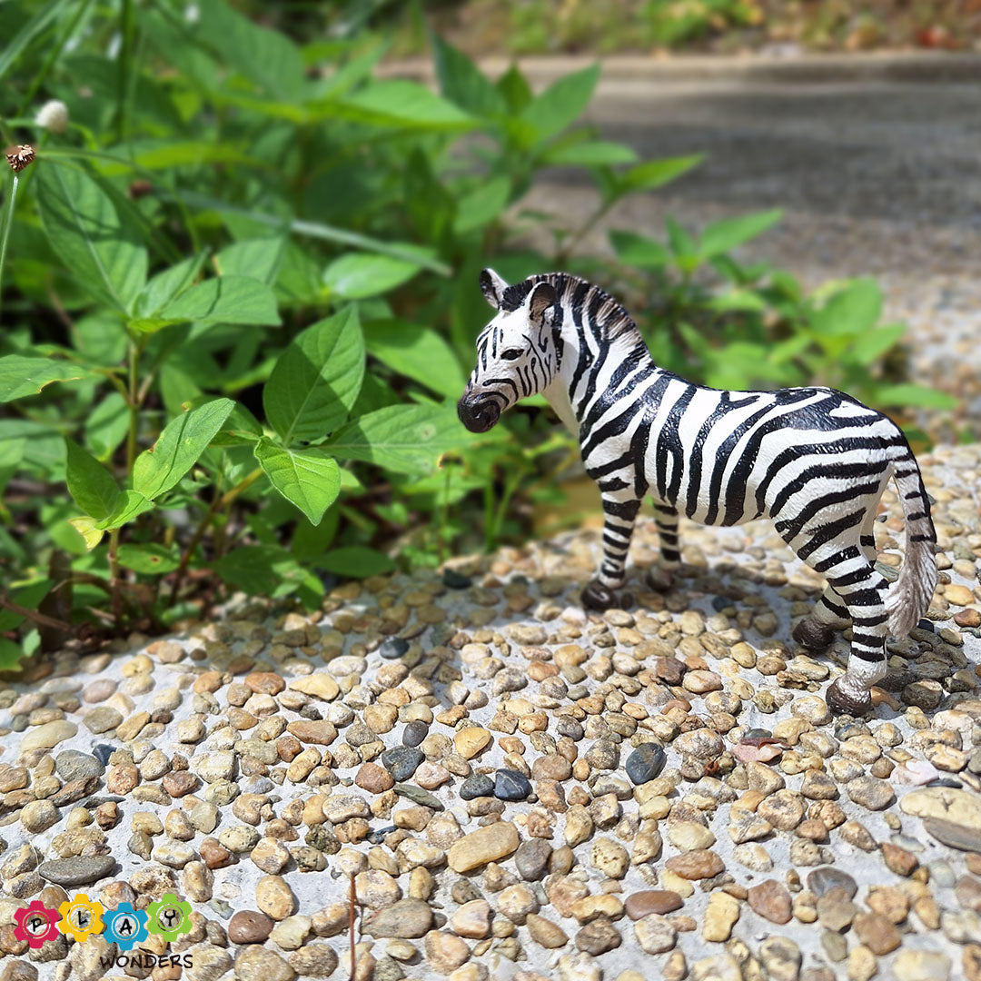 Discovery Animals - Zebra Female