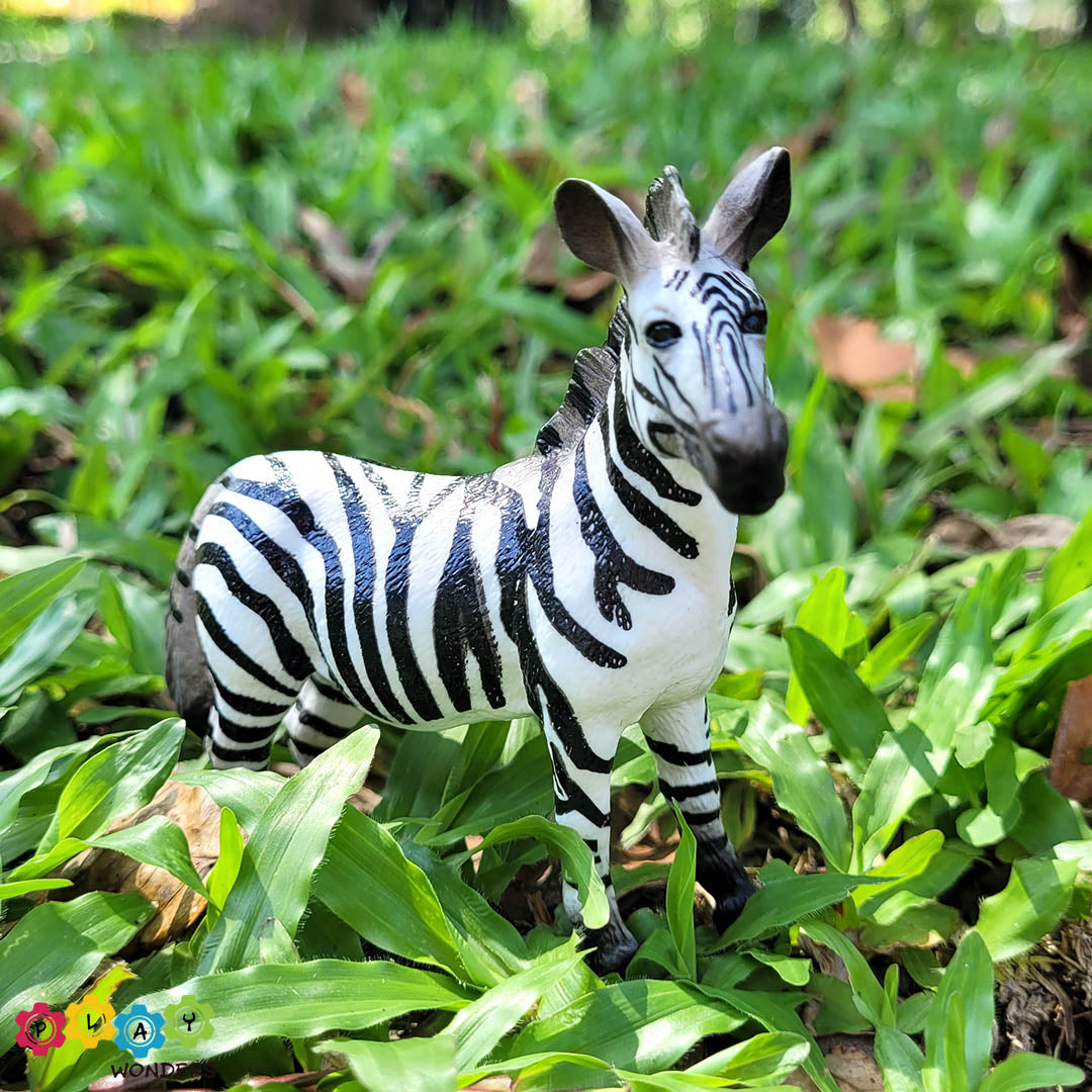 Discovery Animals - Zebra Male