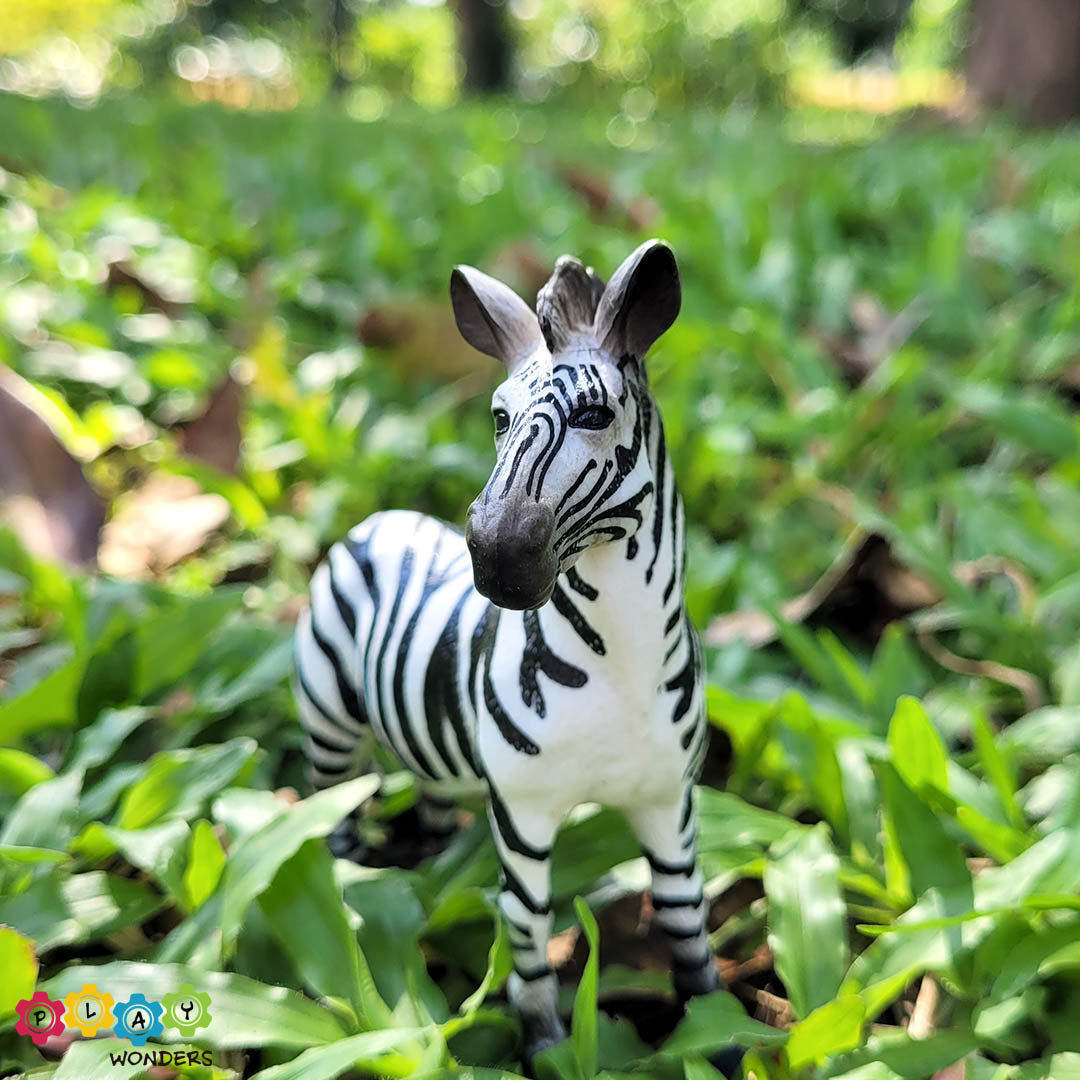 Discovery Animals - Zebra Male