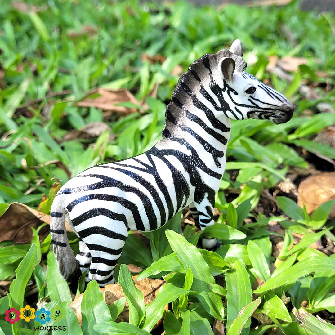 Discovery Animals - Zebra Male