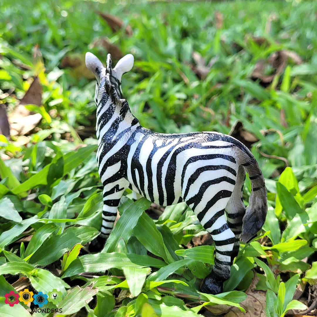 Discovery Animals - Zebra Male