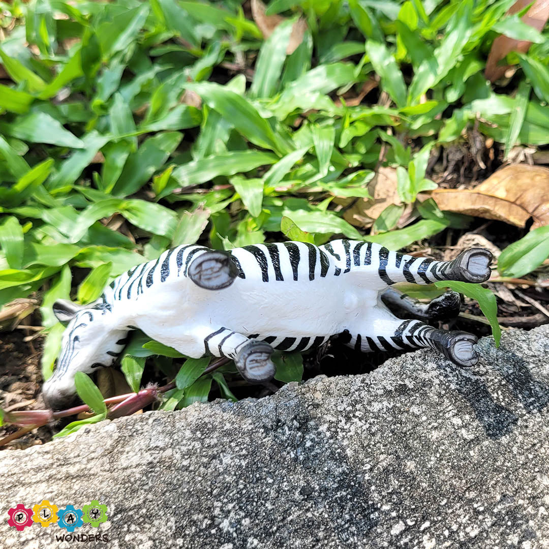 Discovery Animals - Zebra Male